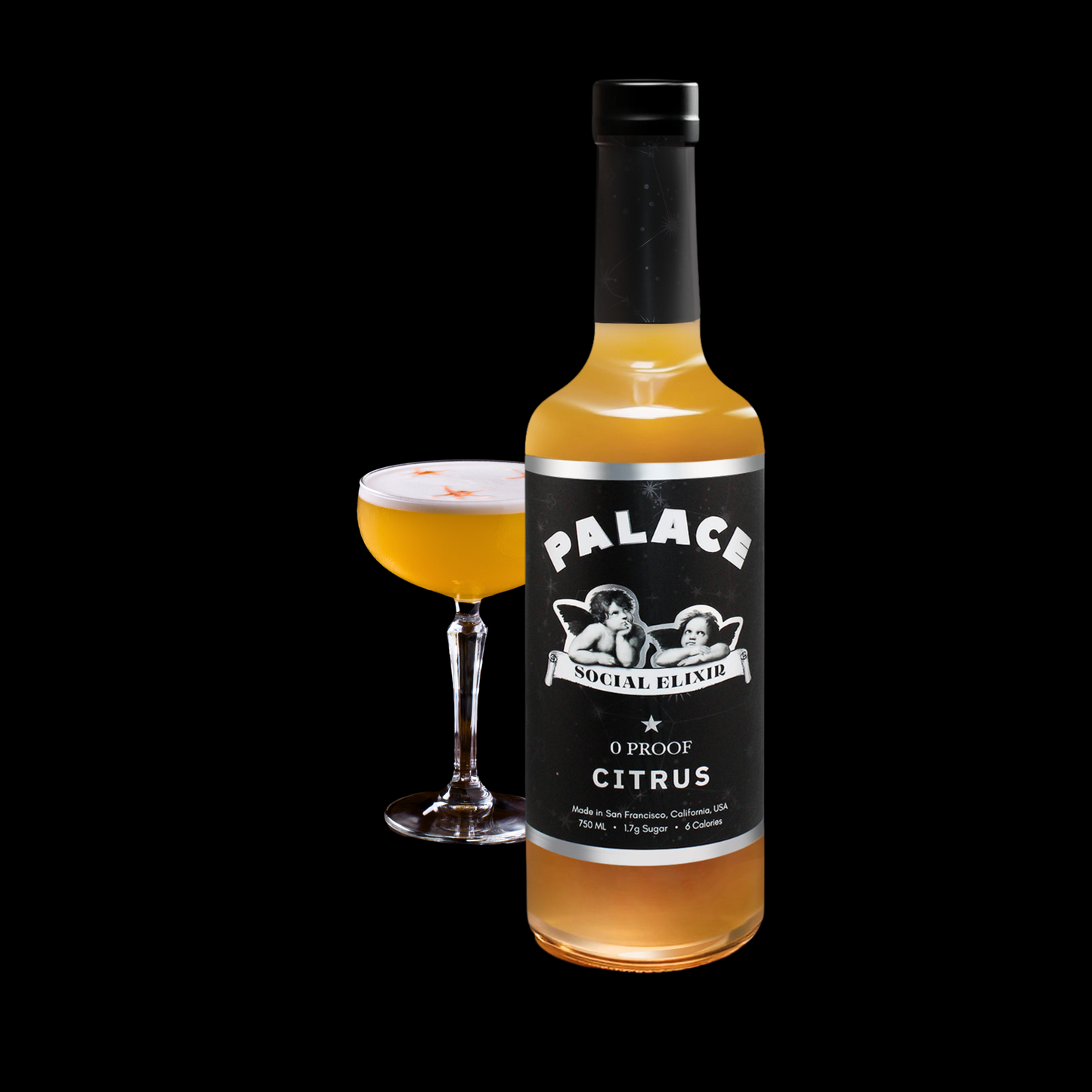 Palace SKU #1 (case)